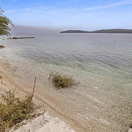 The Sea Martin * נידרי